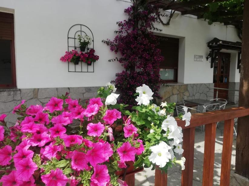 Atxispe Etxea Casa Rural Laukiz Екстер'єр фото